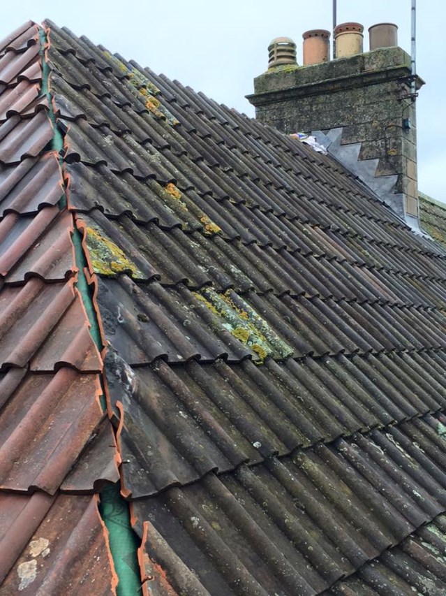 Mending broken roof - image 8 of 14