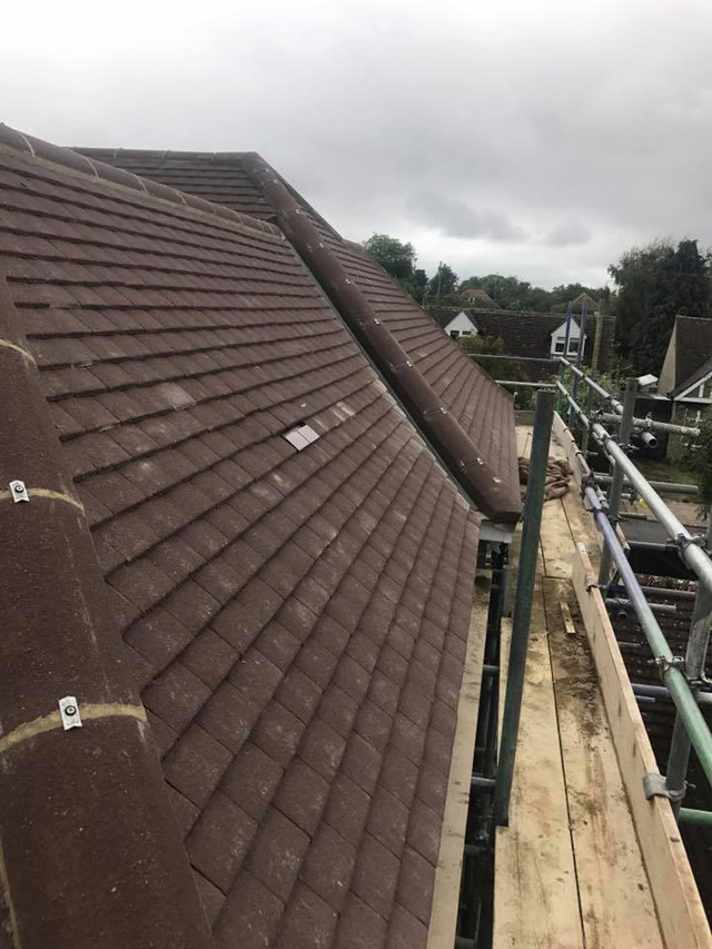 New Roof Aug