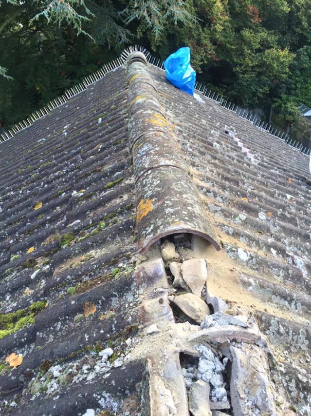 Repairs to broken roof needed