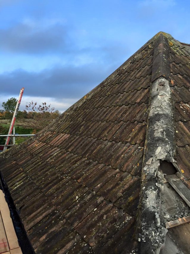 Mending broken roof - image 2 of 14