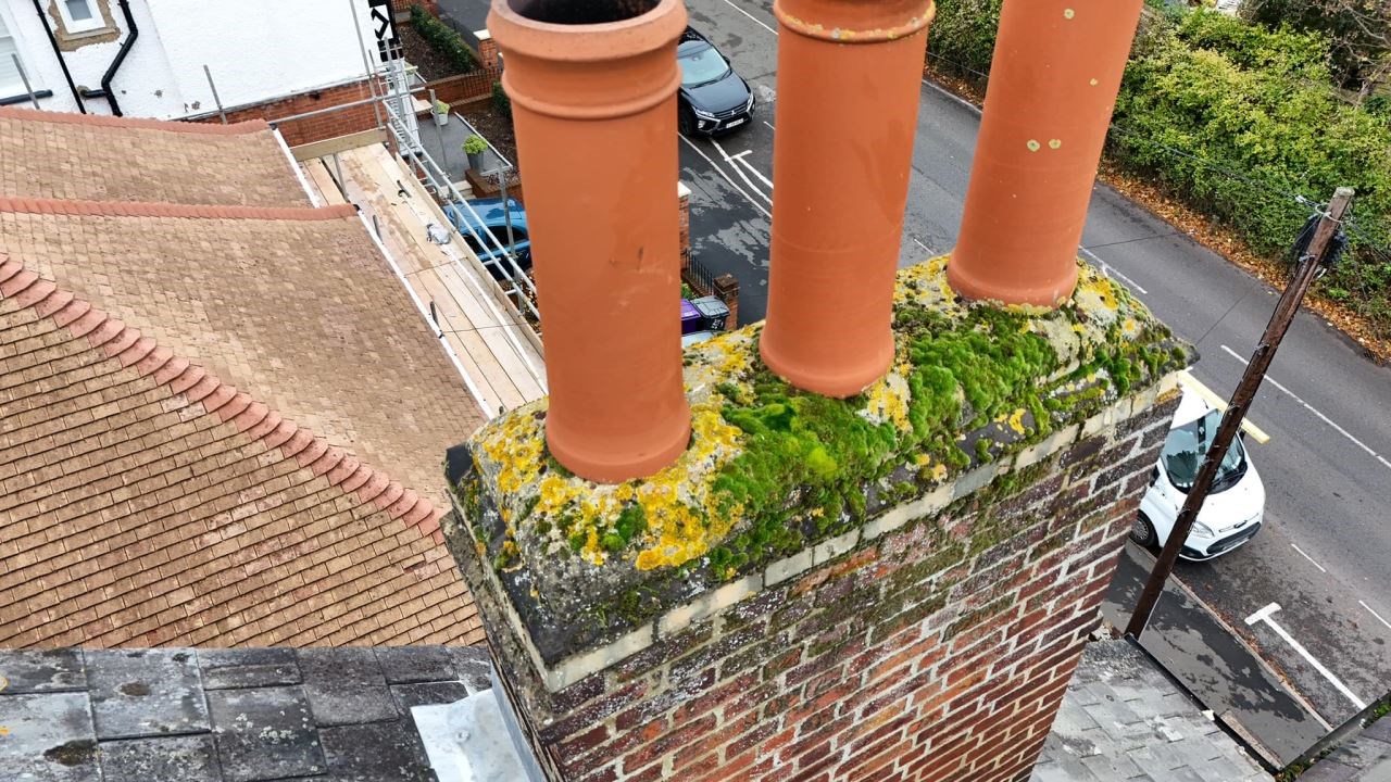 Understanding Moss Damage on Roofs: A Professional Guide