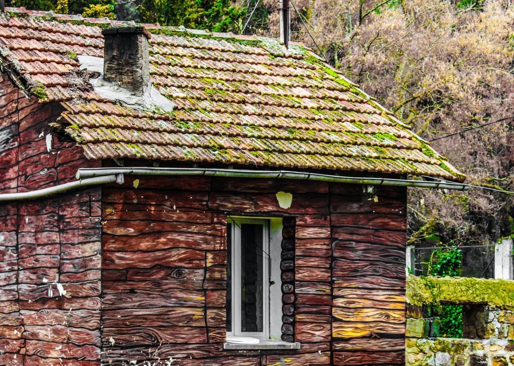 Why does moss collect on roof tiles?